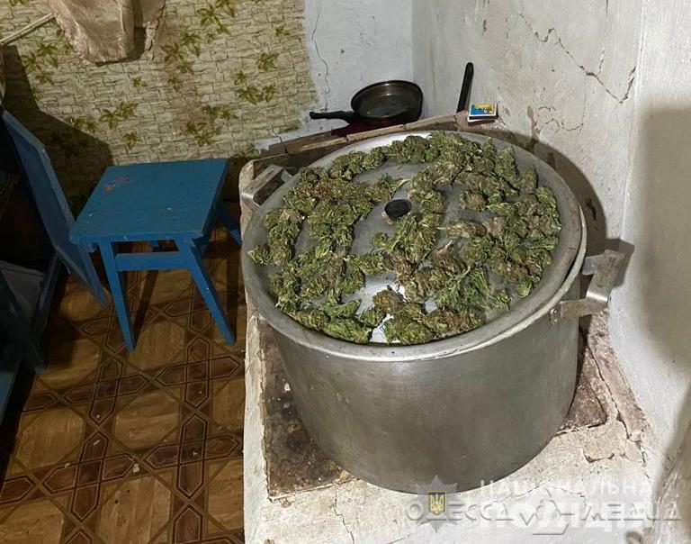 В Одессе задержали трио наркодельцов: 1000 кустов и 10 килограммов готовой марихуаны (фоторепортаж, видео)