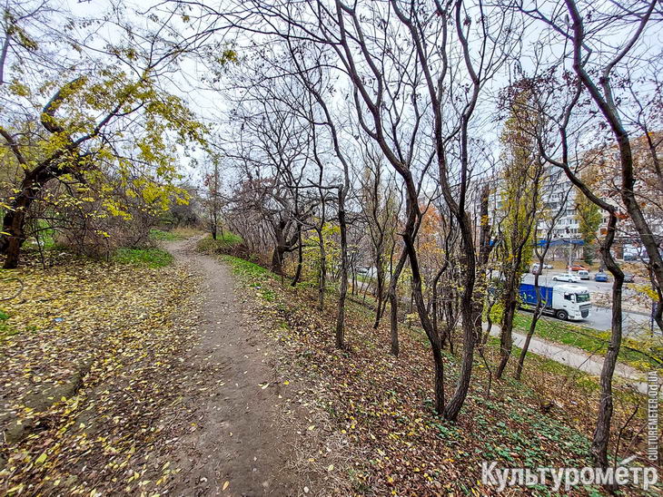 Вырубят сотни деревьев: на зелёном склоне на Балковской построят высотку (фото)