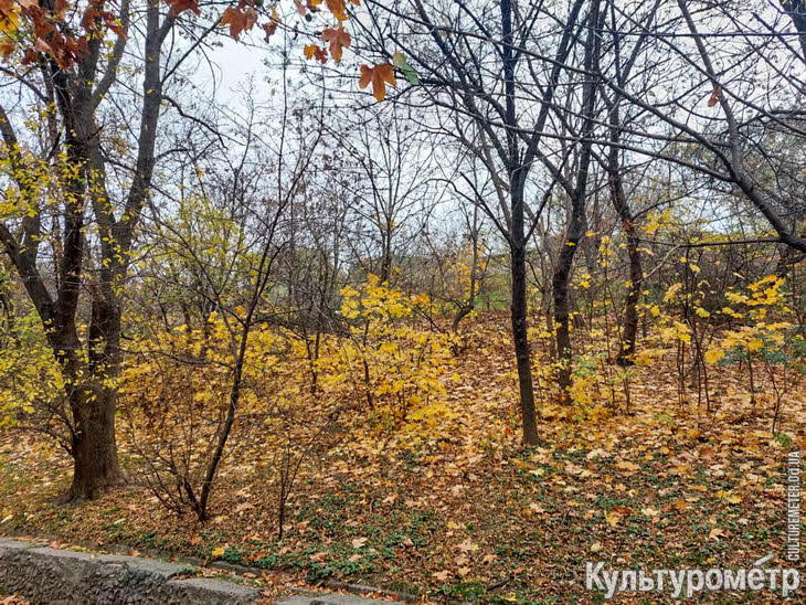 Вырубят сотни деревьев: на зелёном склоне на Балковской построят высотку (фото)