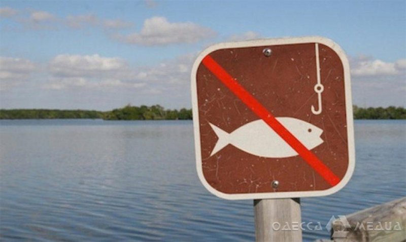 В Одесской области с начала ноября запрещен вылов рыбы в зимовальных ямах