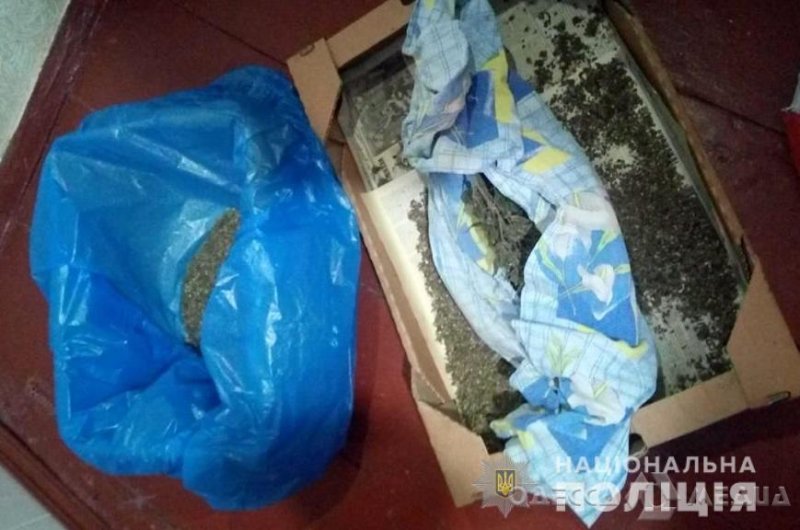 В Одессе задержали трио наркодельцов: 1000 кустов и 10 килограммов готовой марихуаны (фоторепортаж, видео)