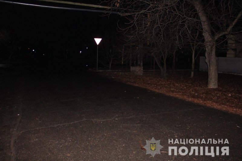 В Одесской области водитель Nissan сбил девушку и скрылся с места ДТП (фото)