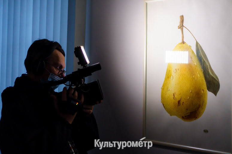 В Одесском музее открыли удивительную выставку ботанической акварели