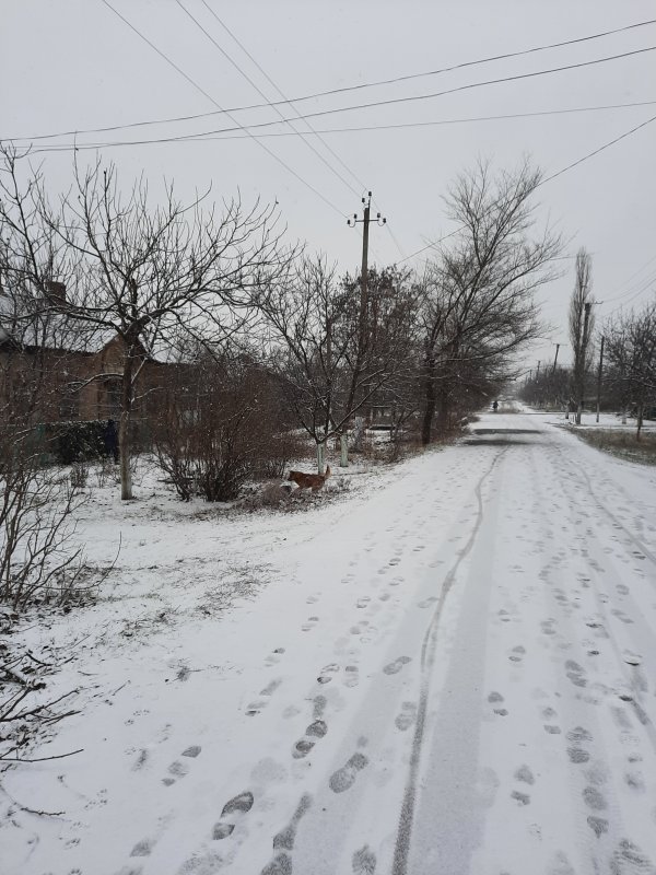 В Арциз пришла настоящая зима со снегом (ФОТО)