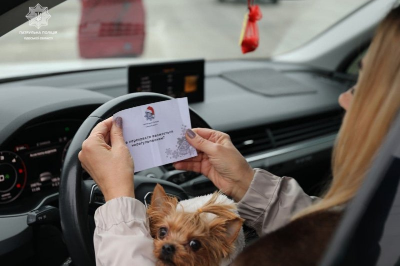 Накануне Нового года патрульные проверили, хорошо ли водители знают правила дорожного движения (фоторепортаж)