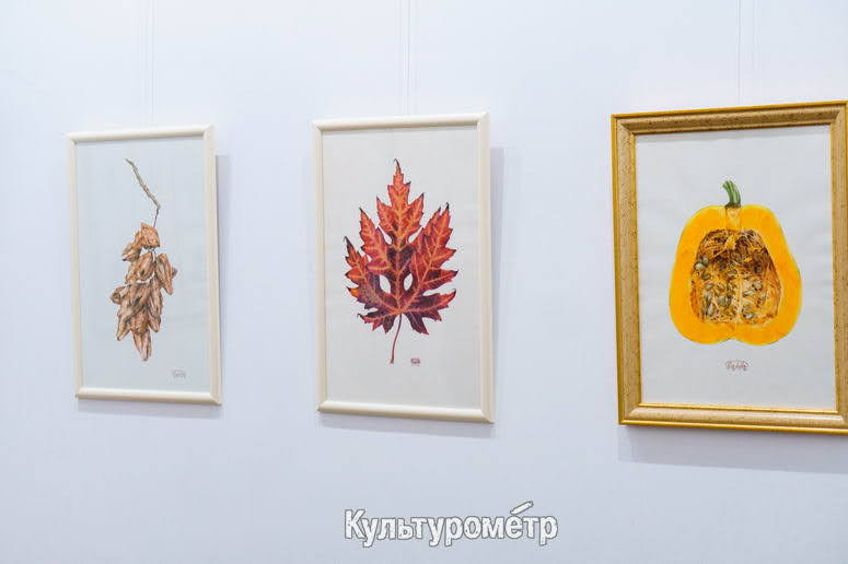 Одесский музей объявил день бесплатного входа