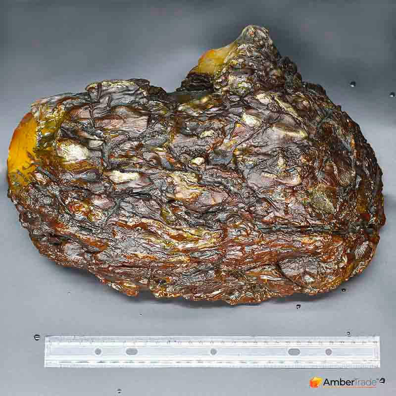 В Украине добыли самый большой камень янтаря весом более 5 кг