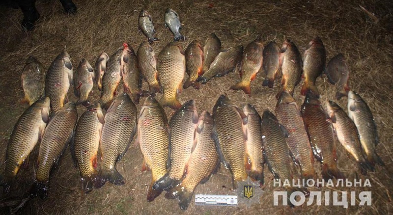 На реке Большая Репида задержали браконьеров с гарпунами