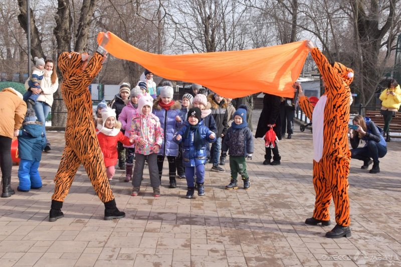 Как звери, дети и взрослые встретили в Одессе китайский Новый год (фоторепортаж)