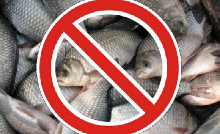 Начался запрет на лов рыбы в Одесской области