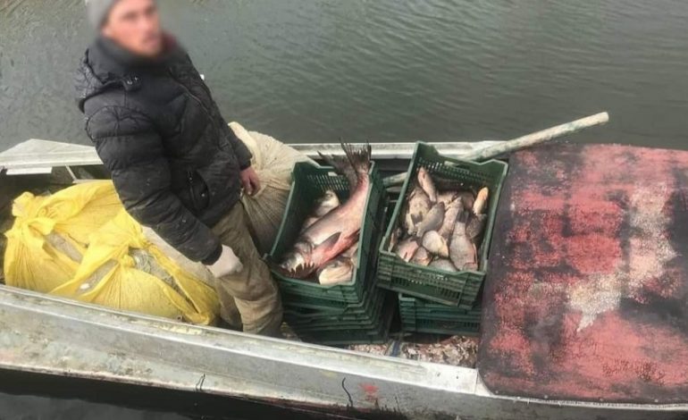 В Одесской области разоблачили браконьеров, которые в сезон нереста выловили рыбы на 3,5 млн грн