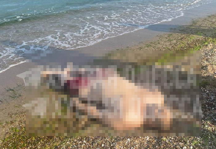 На пляже под Одессой мужчина подорвался на мине