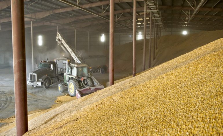 В Одесской области планируют нарастить объемы вывоза зерновых