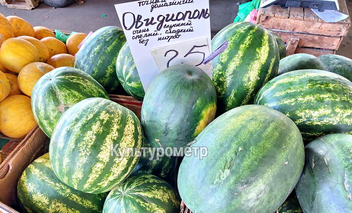 В Одессу привезли первые арбузы и дыни – цены пока “кусаются”