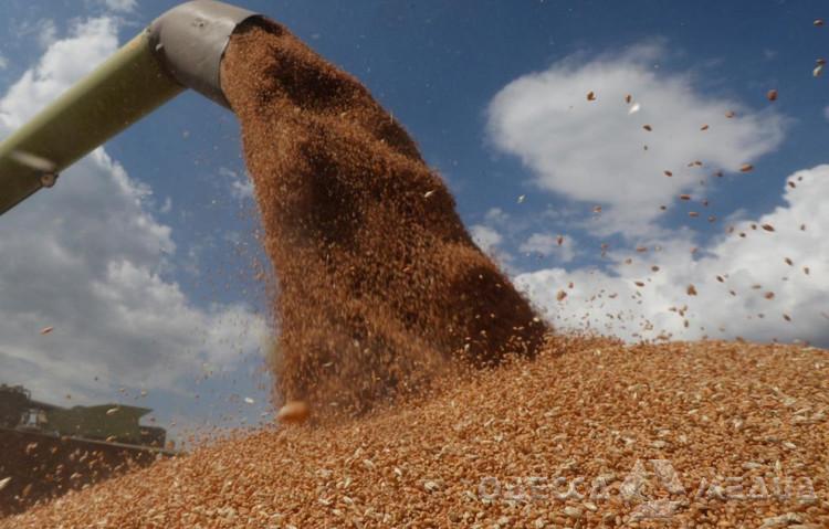 Месяц "зернового соглашения": куда везут хлеб из Украины
