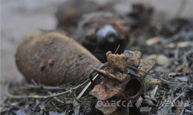 В Одесской области нашли 4 взрывоопасных предмета