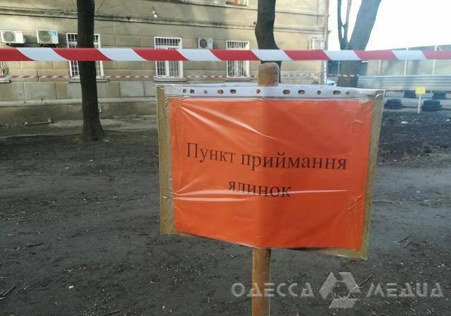 В Одессе начали работу пункты утилизации новогодних елок