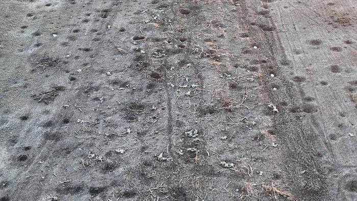 Опубликовано фото поля боя под Бахмутом, усеянное телами русских оккупантов