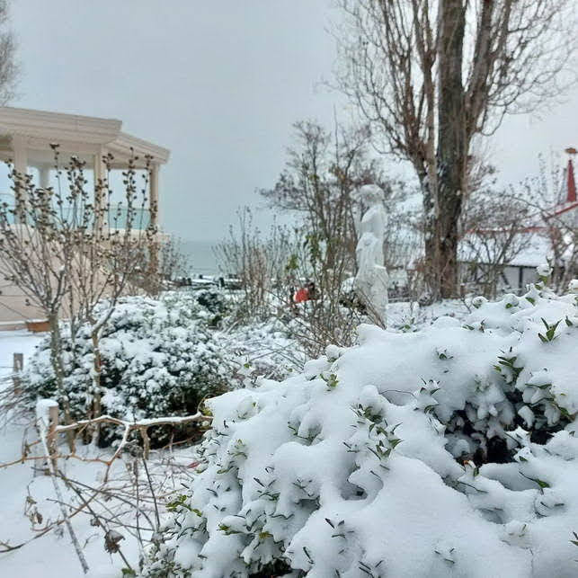 В Одессу наконец-то пришла снежная зима (фото)