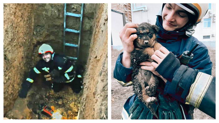 В Одессе спасли щенка, провалившегося в глубокую скважину диаметром 10 см