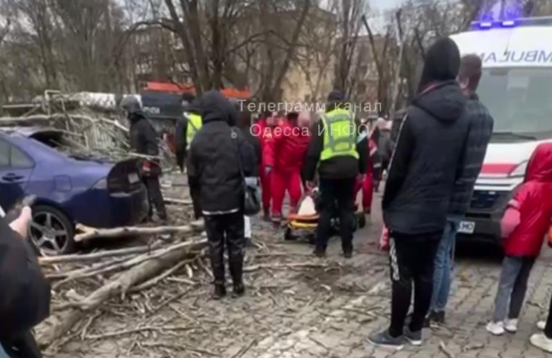 В Одессе два человека пострадали из-за падений веток и деревьев