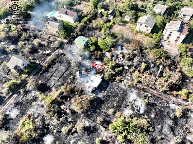 Под Одессой потушили масштабный пожар в дачном кооперативе