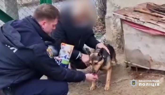 В Одесской области полиция нашли девушку, которая резала свою собаку бритвой до крови