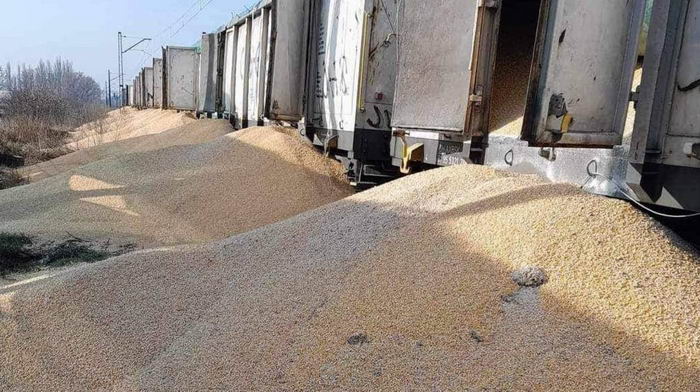 В Польше неизвестные высыпали из вагонов 180 тонн украинской кукурузы