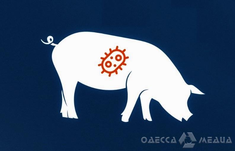 В Одесской области зафиксировали случай заболевания свиней африканской чумой