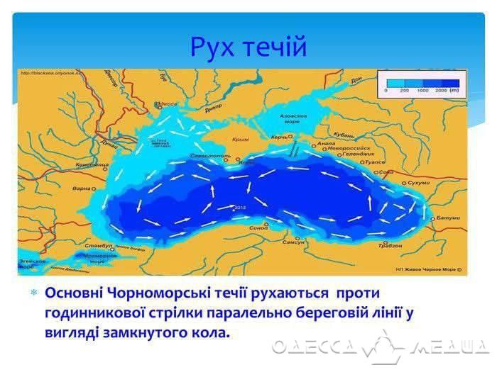 Мазут, попавший в Черное море в результате аварии российских танкеров, может добраться до побережья Одесской области