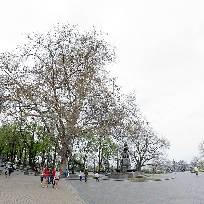 В Одессе планируют переименовать дерево