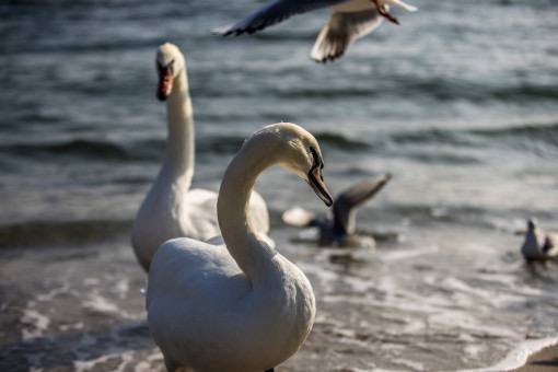 Найближчі дні погодні умови Одещини зумовлюватиме циклон над Європою
