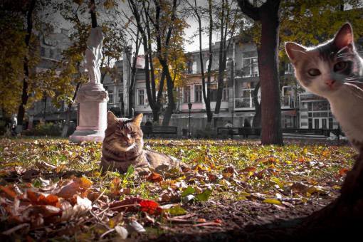 Яка буде погода в Одесі та області 16 грудня